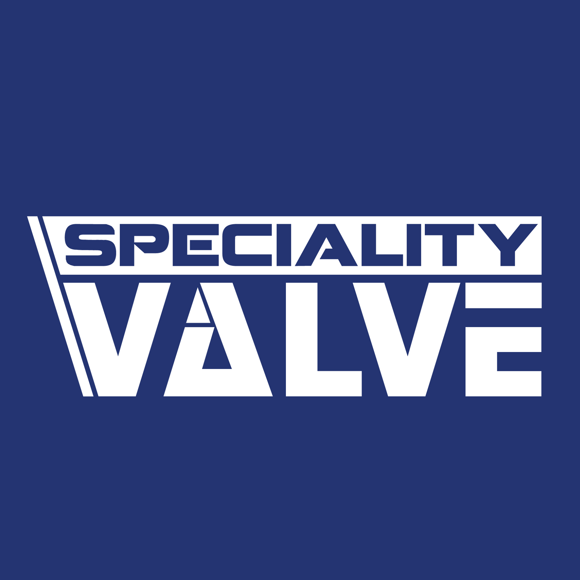 Speciality Valve